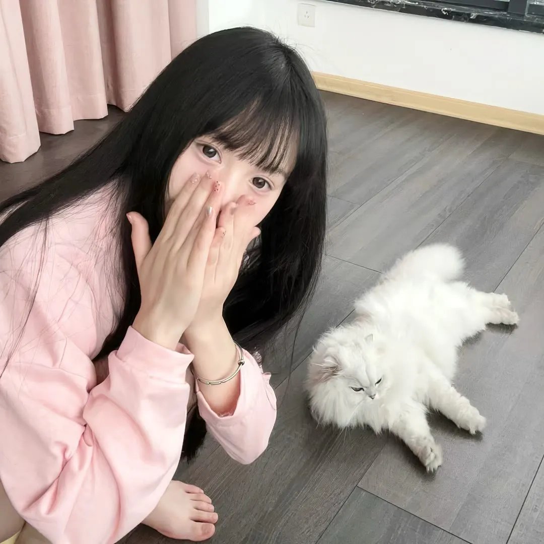 危机航线